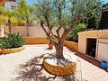 Wunderschöne Villa mit 3 Schlafzimmern, 3 Bädern, Privatpool, Meerblick und direktem Strandzugang