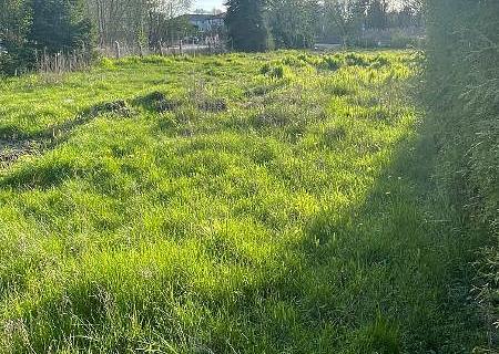 Großes Baugrundstück in Bestensee - Ob Eigennutzung oder Investition - Sie entscheiden! - IMG 2887