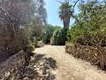 Mallorca Stein Finca bei Felanitx zu verkaufen
