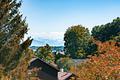 Lichtfülle und Transparenz: Familienoase mit traumhaftem Garten in Laufnähe zum See - Traumhafte Sichtbezüge