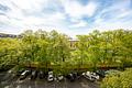 Modernes Familienhighlight mit tollem Grundriss am Nordbad - Ausblick
