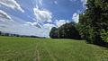 Wald, Weitblick, Werte – ca. 1,9 ha gepflegter Waldbestand mit Alpenpanorama - www.remax-prime.de0