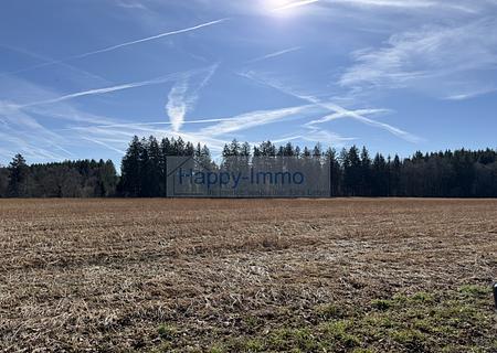 Spekulations-Bauerwartungs- Grundstück -  aktuell ist es landwirtschaftlich genutzt