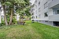Wohnen in zentraler Lage – charmante Wohnung mit Gartenmitbenutzung - Gartennutzung