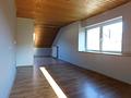 Fell a.d. Mosel - 4 Zimmerwohnung auf 2 Ebenen mit 115 qm Wohn- und 30qm Nutzfläche - DB6 Wohn-Essbereich (10)