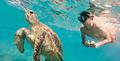 Shura Island - Exklusive Villen und Apartments -  am Roten Meer - Brochure - Shura and Laheq-135