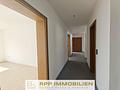 Helle 4,5-Zimmer-Wohnung mit Süd-Balkon und eigenem Garten in Lohhof - Flur