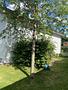 Freistehendes Ein-/ Zweifamilienhaus auf sonnigem Gartengrundstück mit viel Potenzial in Ottobrunn - Blick aufs Haus von Norden