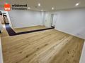 Raumwunder *ca. 160 m² Wohn- und Nutzfläche auf zwei Ebenen*Naturschutzgebiet* - Zimmer 2 Souterrain