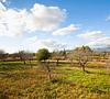 ***Bauernhaus in Santa Eugènia*** - 16