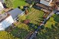 Doppelhaushälfte mit großem Garten & Ausbaupotenzial in begehrter Lage von Hemsbach - Garten