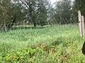 Polen! Pferde Ranch auf 120 ha nahe der deutschen Grenze