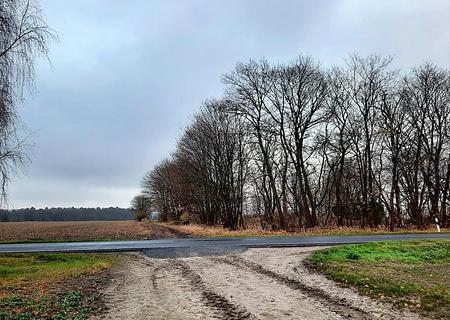 Entwicklungsgrundstücke vor den Toren Berlins - Entwicklungsland mit Landstrasse