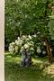 Hochklassiges, modernes 4-Zimmer-Domizil mit privatem Garten-Paradies und wohnlichem Hobbybereich - Romantischer Garten