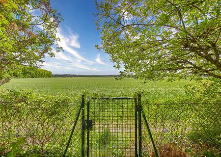 Mit freiem Blick ins Grüne: Einfamilienhaus mit Einliegerwohnung und Garten - Charmantes Zuhause im Grünen
