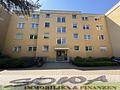 Charmante 2 Zimmer Wohnung mit Balkon in Hochparterre-Lage Neuburg | Ostend - Ein Objekt von Ihrem Immobilienpartner SOWA Immobilien und Finanzen