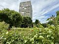 Stadtleben mit Alpenpanorama – 3-Zimmer-Traumwohnung in Bogenhausen - www.remax-prime.de