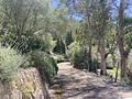 Idyllische Villa mit Wald, Garten und Pool im Herzen von Puigpunyent