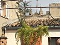 ***Penthouse mit Terrasse in bester Altstadtlage*** - IMG_7131