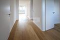 bezugsfreie 3-Zimmer-Wohnung / Westbalkon / 8. OG / Küche mit EBK / Keller / TG Einzellstellplatz - Flur