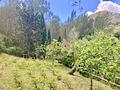 Idyllische Villa mit Wald, Garten und Pool im Herzen von Puigpunyent