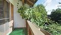 DHH - Ihr neues Zuhause in Freilassing – ca. 159 m² Wohnfläche, schöner Garten und viel Platz - Balkon