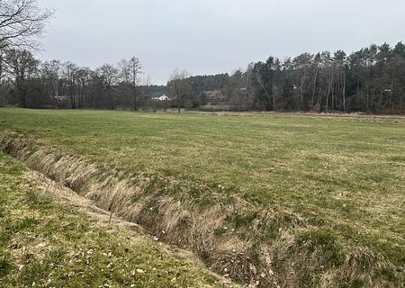 Gepflegtes Einzelhaus in Feldrandlage! Schnelle Entscheidung erwünscht! - Feldrandlage