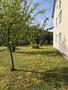 Wunderschöne Gartenwohnung vor den Toren Münchens in Ellgau bei Augsburg - Obstgarten