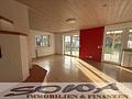 Einzugsbereit! Zentrumsnahes Einfamilienhaus mit guter Raumaufteilung und einer großen Garage im Englischen Garten in Neuburg - Ein Objekt von Ihrem Immobilienpartner SOWA Immobilien und Finanzen