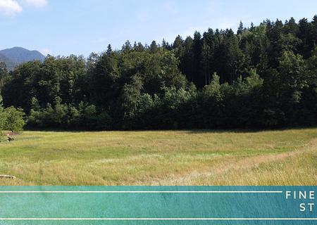 Unverbaubare Weitsicht mit Bergblick! Großes Baugrundstück in absolut ruhiger und idyllischer Lage - FINESTEP Immobilien GmbH