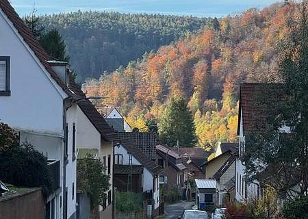 Traumwohnung für das täglich sanfte Erwachen. KAPITALANLAGE oder eigener Altersruhesitz! - 6 Talblick