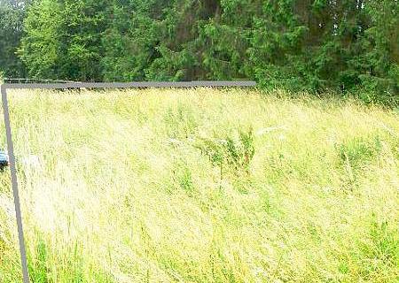 Lissendorf Baugrundstück Ecklage Erschlossen gerader Schnitt - 1 - Grundstück