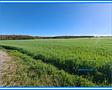 3,3 ha Ackerland bei Chörau und Dessau Mosigkau - Acker bei Chörau
