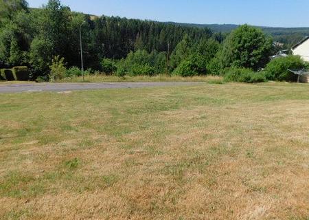 wohnen im Naturpark Hunsrück-Hochwald - erschlossenes 806qm großes Baugrundstück in unverbaubarer Lage - TB3 Ansicht Südseite