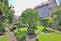 Doppelhaushälfte als Ein- oder Zweifamilienhaus mit Garage und sonnigem Garten - Garten