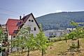 Schwarzwaldtraum: Villa mit Selbstversorgergarten für WG und Mehrgenerationen -gegen Gebot - Gartenansicht