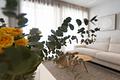Penthouse direkt am Meer mit Panoramablick - 122