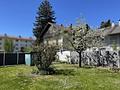 Ihr Wohntraum (EFH) im Herzen von Prien - viel Platz, solide Substanz, unendliche Möglichkeiten! - Garten