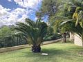 Mallorca charmante Villa mit Golfblick in Son Vida zu verkaufen