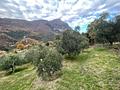 Gardasee: Olivenhain mit ca. 250 Olivenbäumen und Seeblick in Toscolano-Maderno - Idyllische Umgebung