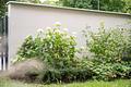 OPEN HOUSE-Besichtigung: Freitag, 7. August 18-19 Uhr: Großzügige 3-Zi.-Gartenwohnung mit Hobbyraum - begrünte Anlage