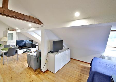 Vermietete 1-Zimmer-Wohnung mit Stellplatz und Einbauküche – attraktive Kapitalanlage in Baden-Baden - Wohnzimmer