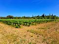 Finca mit Weinbergen in Sencelles auf Mallorca zu verkaufen