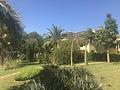 Mallorca wunderschöne Wohnung in Son Vida, direkt neben dem Golfplatz zu verkaufen - IMG_0306