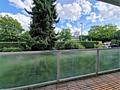 Top modernisiertes Single-Apartment mit großem Balkon - in Neuried bei München. - Ausblick vom Balkon (Straße wenig befahren)