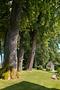 Zeitlos elegante Villa mit Natur-Schwimmteich und prachtvollem Parkgarten in Ammerland - Majestätische Eichen