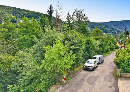 Hanglagengrundstück in Schönau – Ihr neues Zuhause wartet! - Grundstück