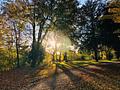 ++ Neubau 3 Zimmer Wohnung 96 m² mit Balkon und Aufzug ++ - Natur 1