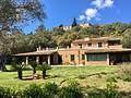 Mallorca Finca in Alleinlage mit exclusiver Olivenölproduktion und touristischer Vermietungslizenz in Esporle - IMG-20190409-WA0021