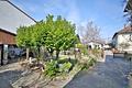 Solides Dreifamilienhaus mit Potenzial! - Garten